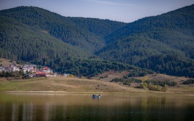Възраждане инициира референдуми срещу евентуални бежански лагери