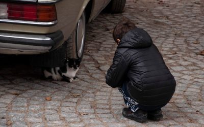 Дете на 6 години е пострадало при катастрофа край Раднево