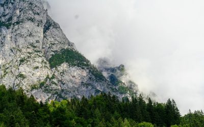По няколко страни в Южна Европа са засегнати от горски пожари